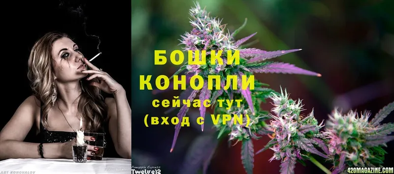 где купить наркоту  Вятские Поляны  Бошки марихуана THC 21% 